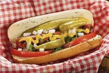 Chicago Style Hot Dog
